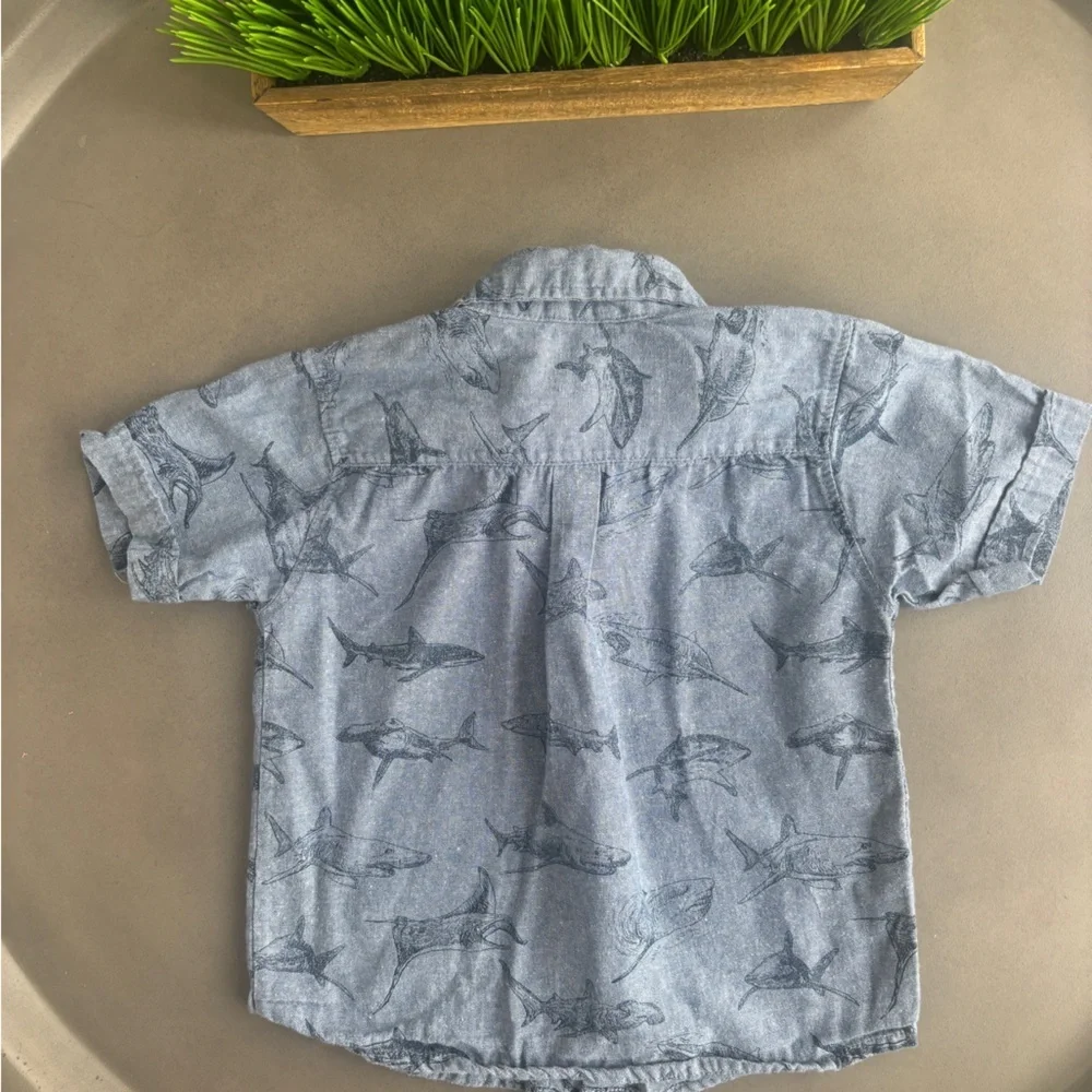 Alex & Jack Shark Adventure Kids Button Down Shirt Size 4T